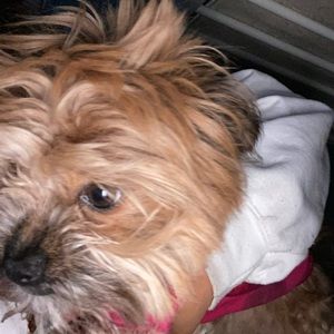 Meet your Posher, Vicky